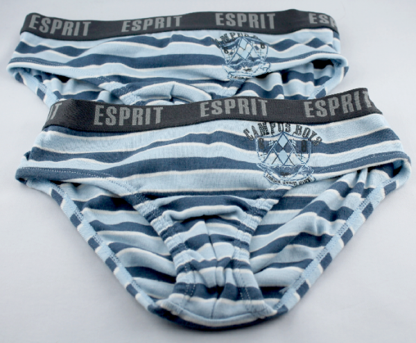 ESPRIT Unterwäsche in Slip Form  - Doppelpack